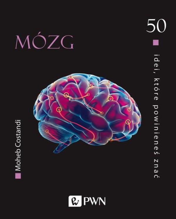 50 idei, które powinieneś znać Mózg - mobi, epub
