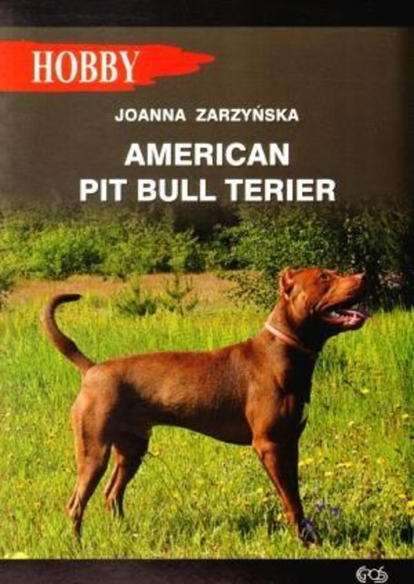 American pit bull terier Hobby