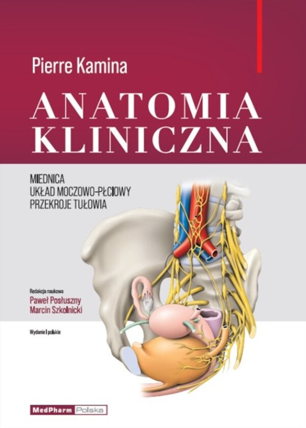 Anatomia Kliniczna Miednica, układ moczowo-płciowy, przekroje tułowia