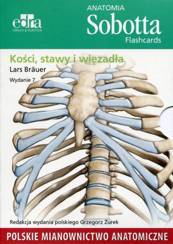 Anatomia Sobotta Flashcards Kości stawy i więzadła Polskie mianownictwo anatomiczne