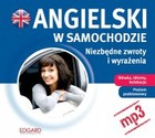 Angielski w samochodzie Niezbędne zwroty i wyrażenia - Audiobook mp3