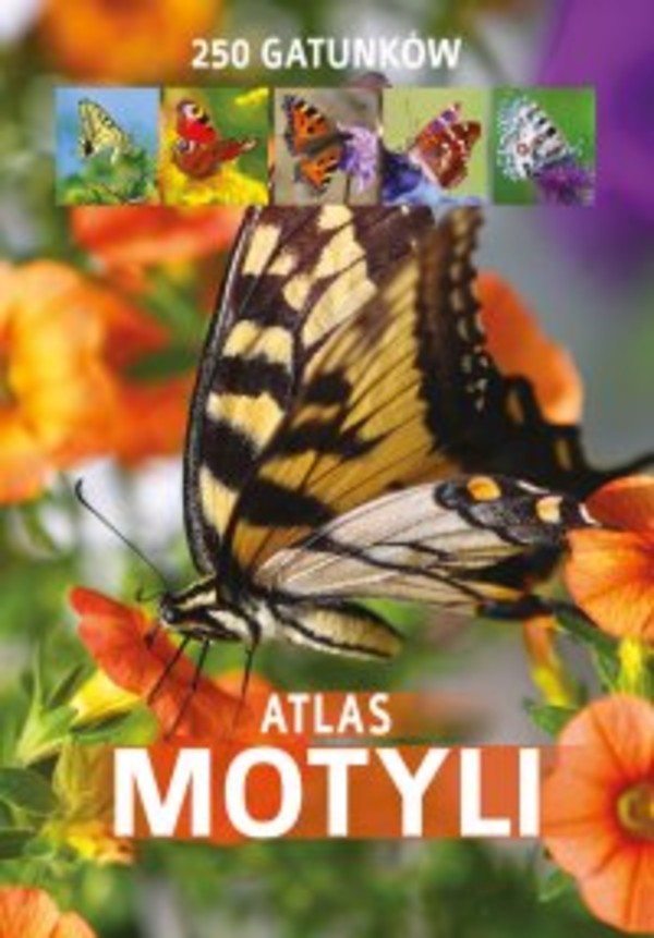 Atlas motyli - pdf