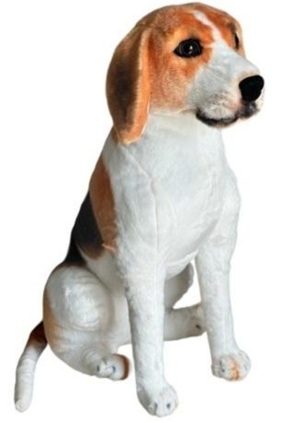 Maskotka Beagle siedzący