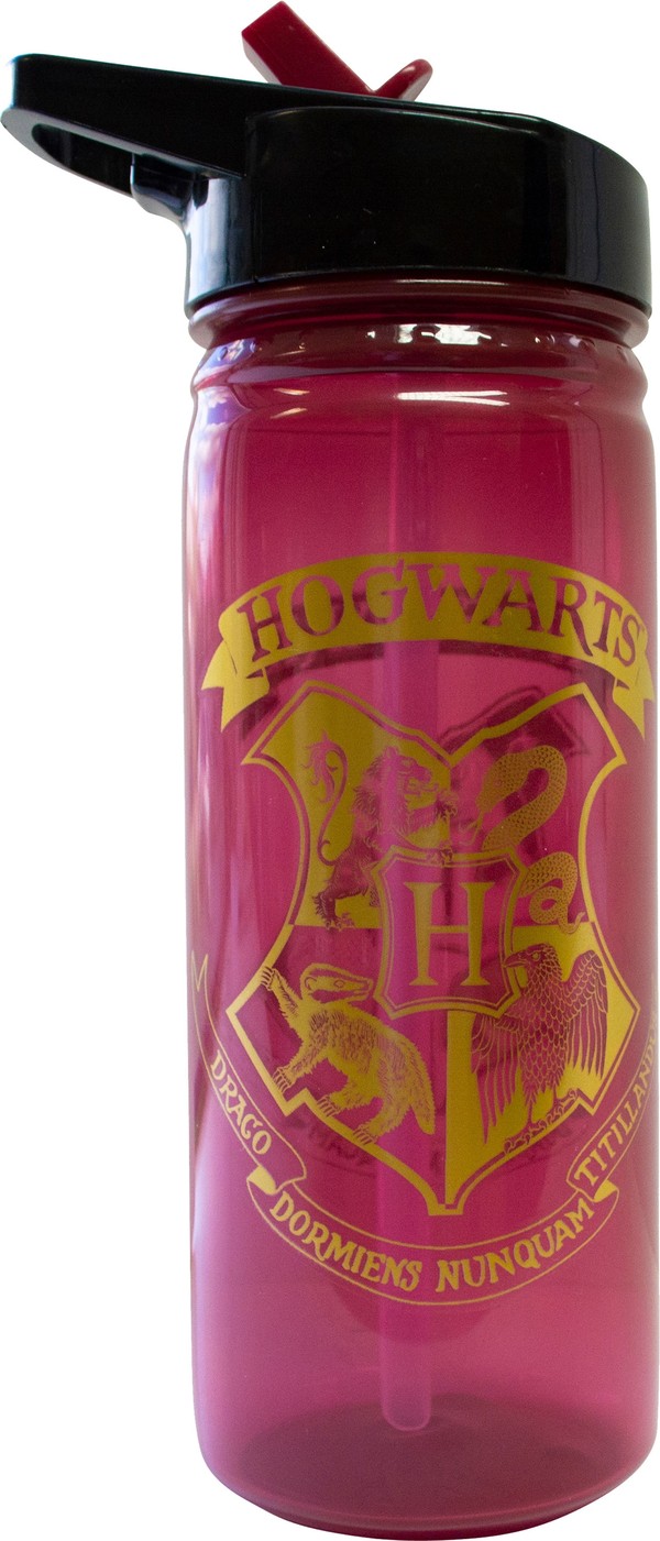 Bidon Harry Potter 600 ml