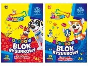 Blok kolorowy A3/15K barwiony (10szt) ASTRA