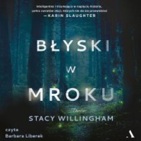 Błyski w mroku - Audiobook mp3