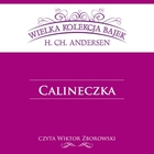 Calineczka - Audiobook mp3 Wielka kolekcja bajek