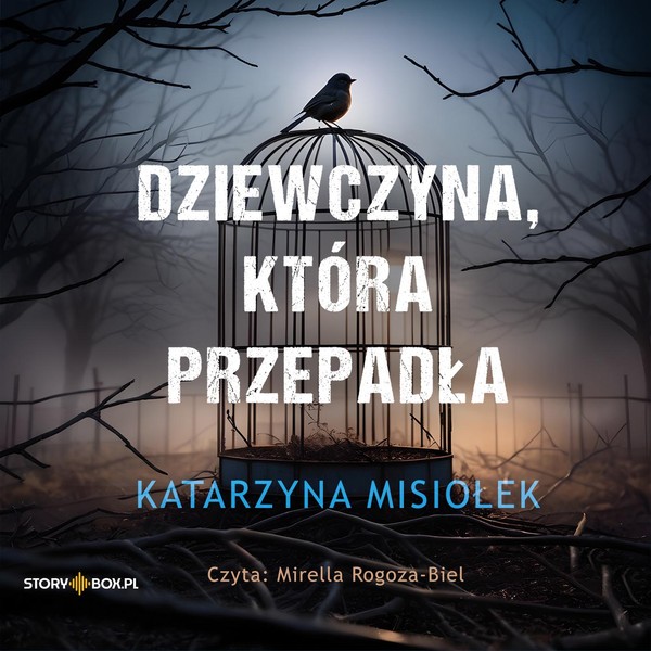 Dziewczyna, która przepadła Książka audio CD/MP3