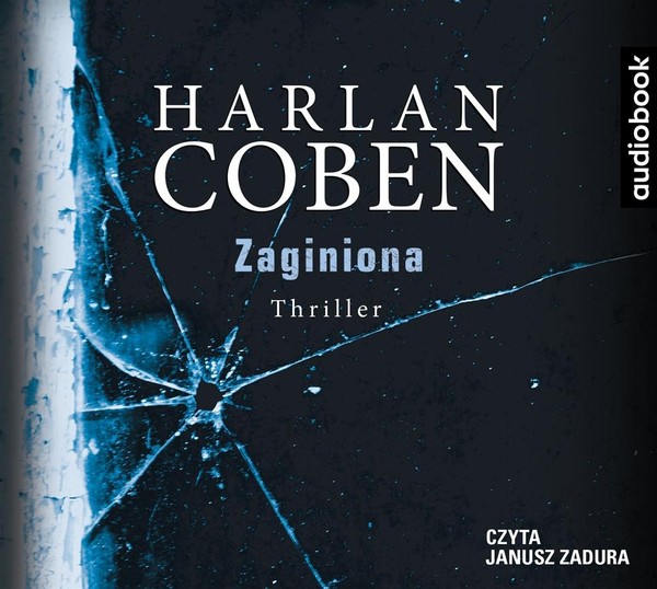 Zaginiona Audiobook CD Audio