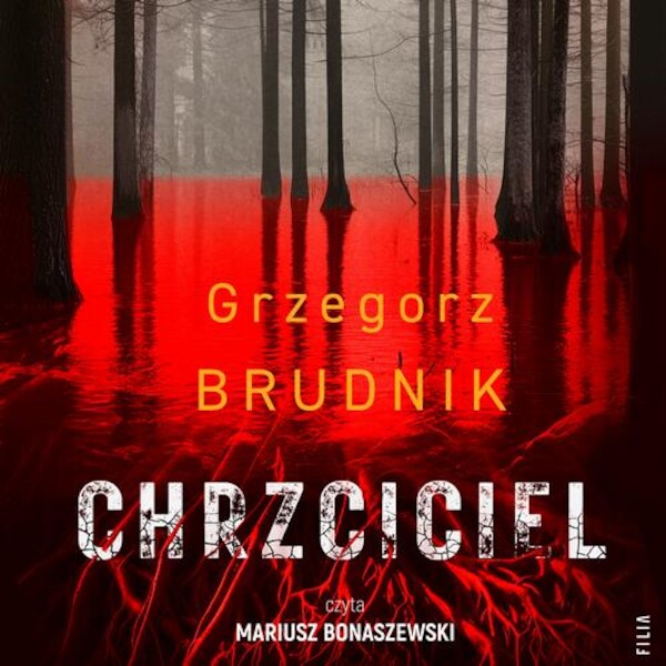 Chrzciciel - Audiobook mp3