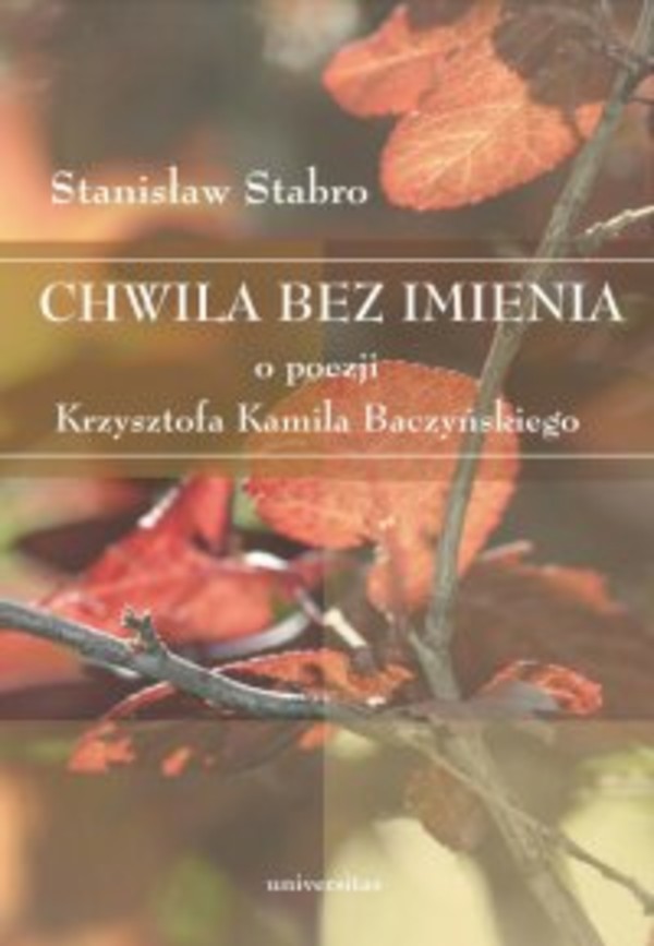 Chwila bez imienia. O poezji Krzysztofa Kamila Baczyńskiego - pdf