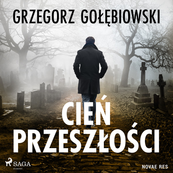 Cień przeszłości - Audiobook mp3