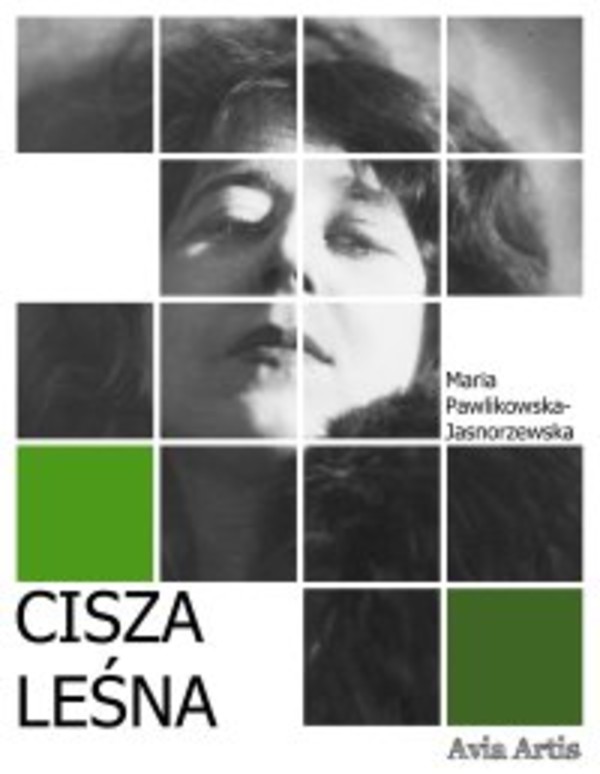 Cisza leśna - mobi, epub