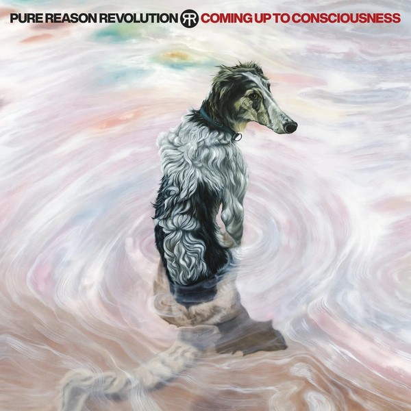 Coming Up To Consciousness (CD+DVD) (Limited Edition)