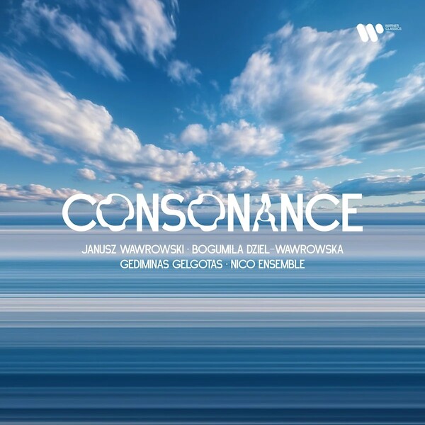 Consonance (vinyl)