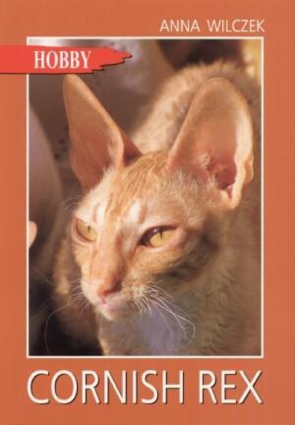 Cornish rex Hobby