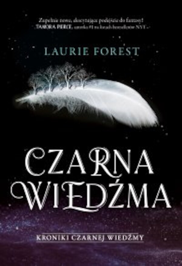 Czarna Wiedźma. Kroniki Czarnej Wiedźmy. Tom 1 - mobi, epub