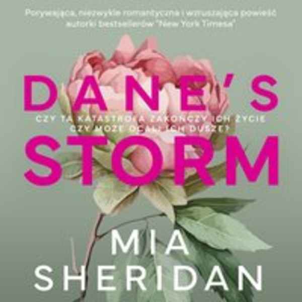 Dane's Storm - Audiobook mp3