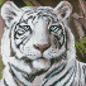 Diamentowa mozaika bez ramy Tygrys bengalski