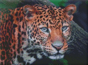 Diamentowa mozaika Dziki wygląd 30x40 cm