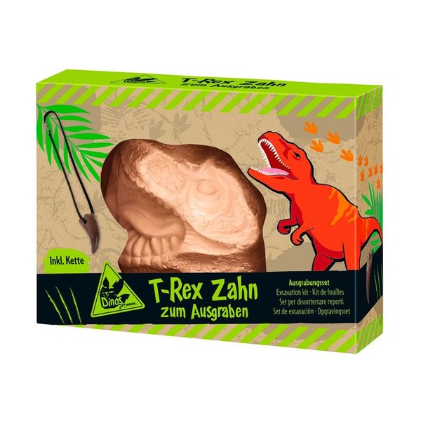 Dino - Wykopaliska - ząb T-Rexa