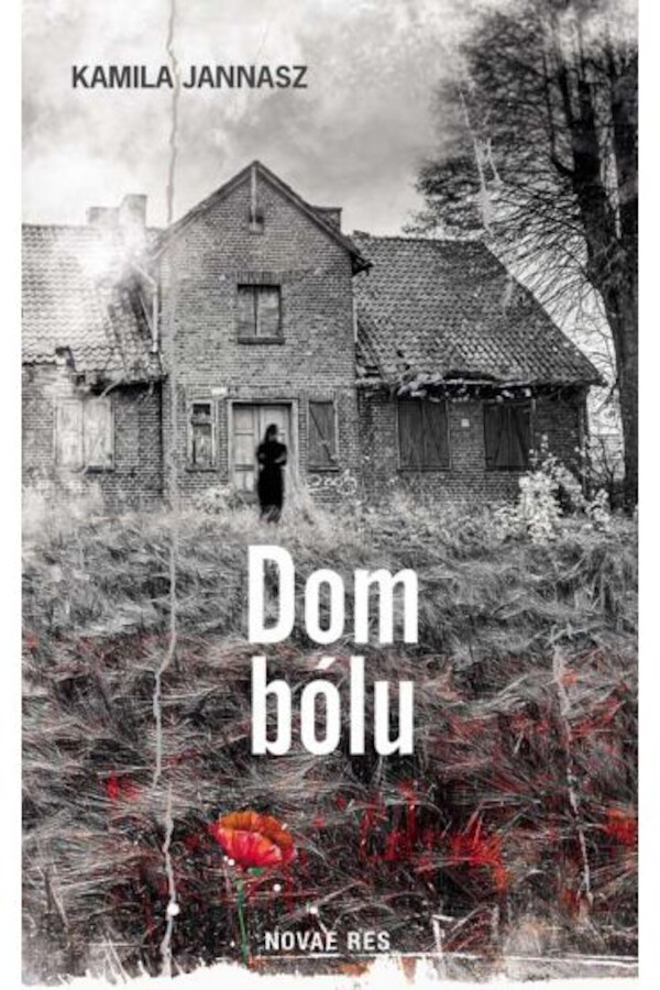 Dom bólu