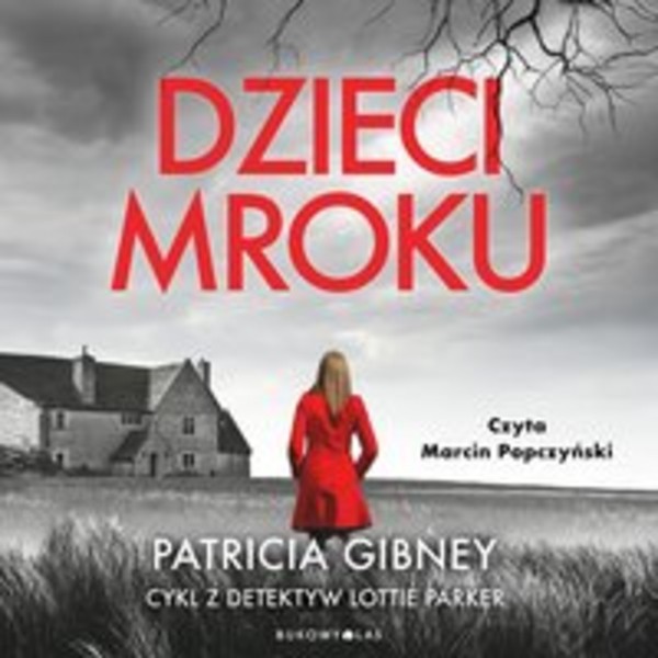 Dzieci mroku - Audiobook mp3