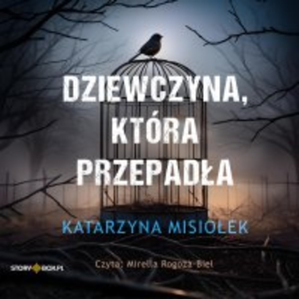 Dziewczyna, która przepadła - Audiobook mp3