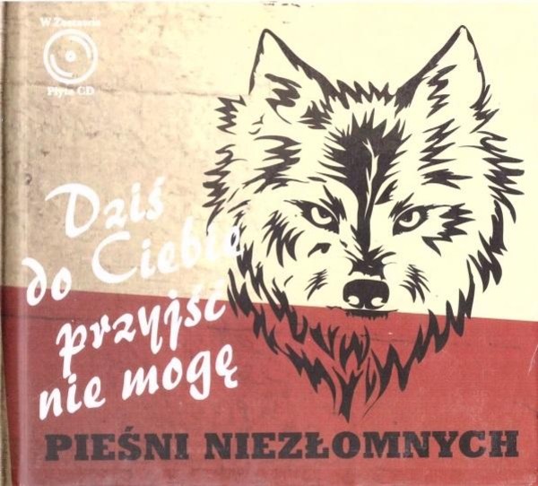 Dziś do Ciebie przyjść nie mogę