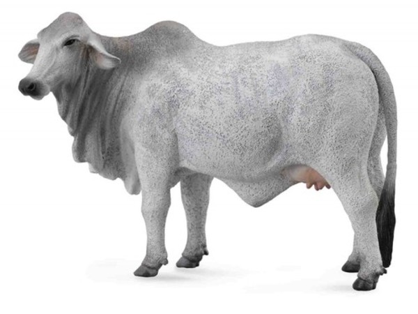 Figurka Krowa brahman Rozmiar L