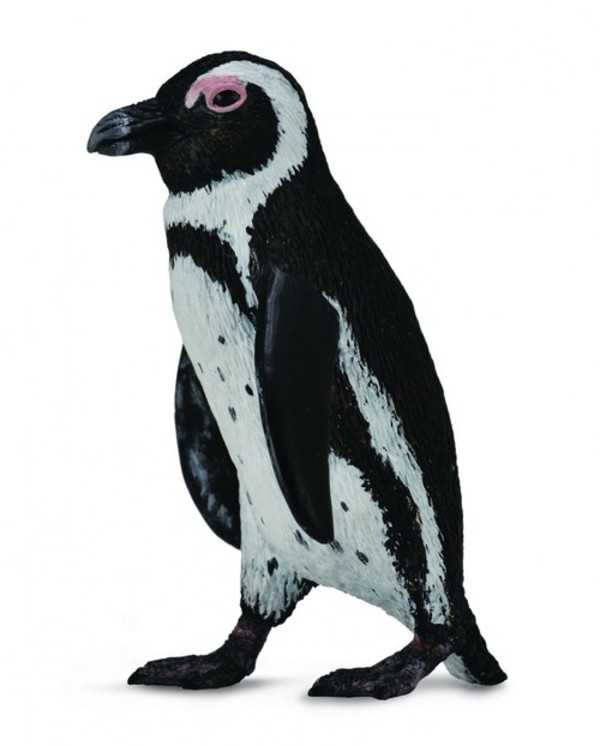 Figurka Pingwin przylądkowy Rozmiar S
