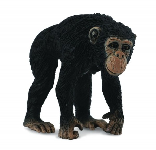 Figurka Szympans samica Rozmiar M
