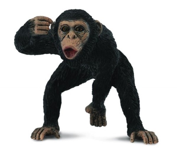 Figurka Szympans samiec Rozmiar M