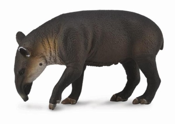 Figurka Tapir Bairda Rozmiar L