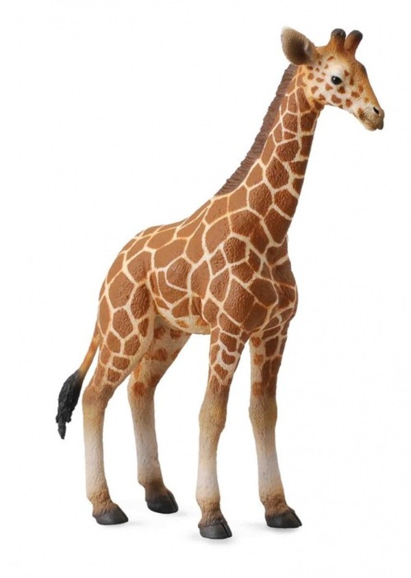 Figurka Żyrafa siatkowana młoda Rozmiar L