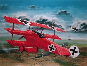 Fokker Dr.I `Richthofen` Skala 1:28