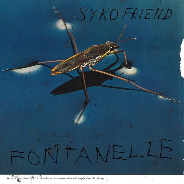Fontanelle (vinyl)