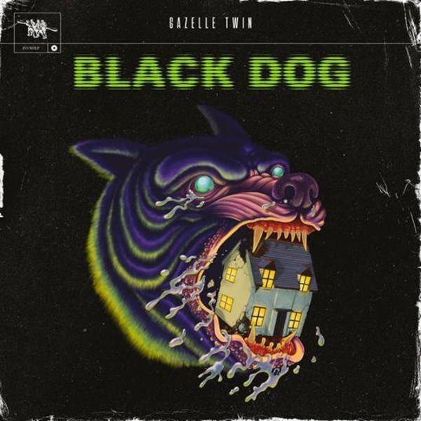 Black Dog (clear vinyl)