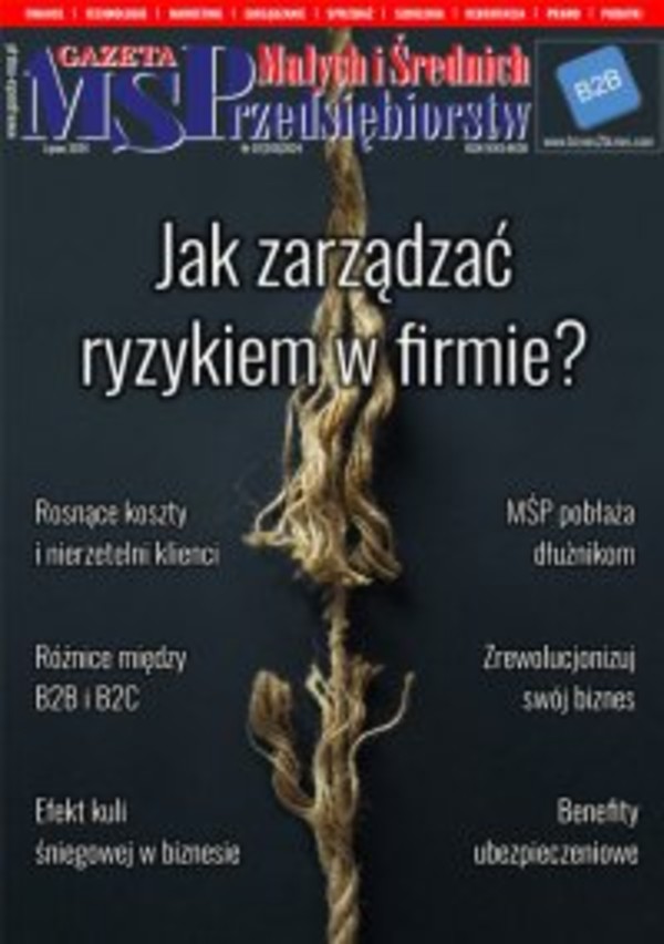 Gazeta Małych i Średnich Przedsiębiorstw - pdf 07/2024
