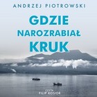 Gdzie narozrabiał kruk - Audiobook mp3