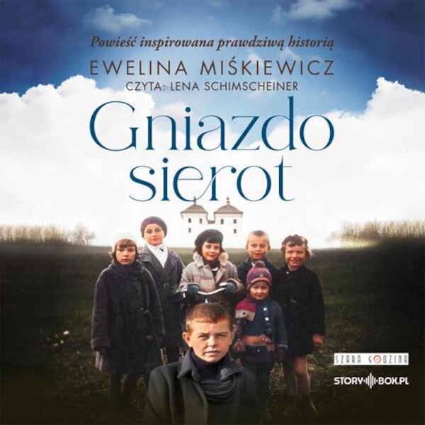 Gniazdo sierot - Audiobook mp3