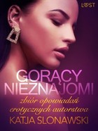 Gorący nieznajomi - mobi, epub Zbiór opowiadań erotycznych autorstwa Katji Slonawski