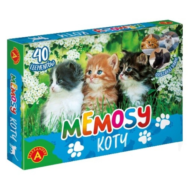 Gra Memosy-Koty