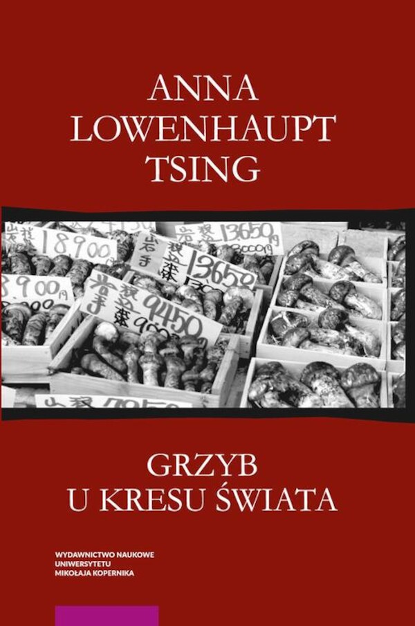 Grzyb u kresu świata - pdf