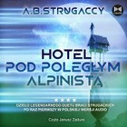 Hotel pod Poległym Alpinistą - Audiobook mp3