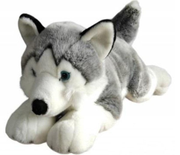 Maskotka Husky 62 cm