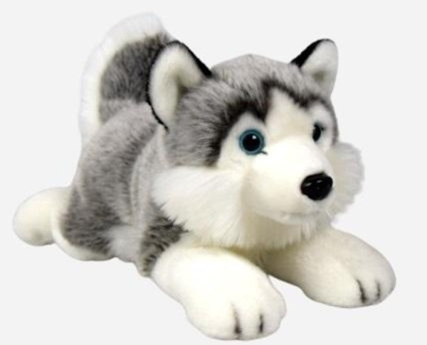 Maskotka Husky leżący 34 cm