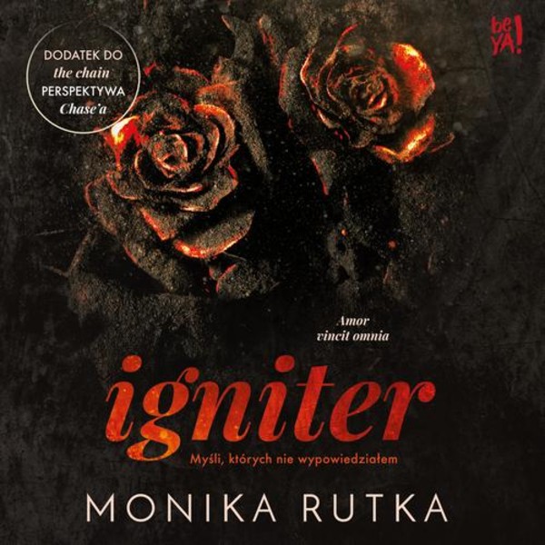 Igniter. Myśli, których nie wypowiedziałem - Audiobook mp3