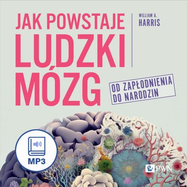 Jak powstaje ludzki mózg - Audiobook mp3