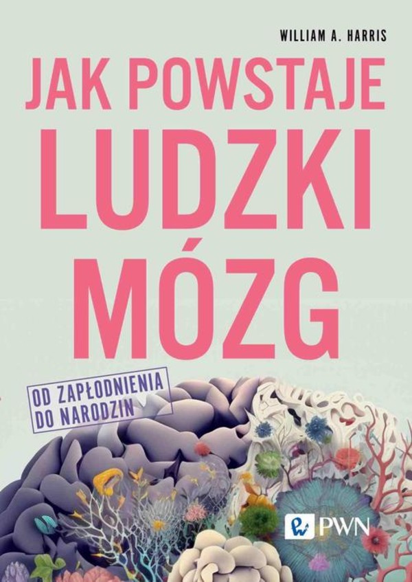 Jak powstaje ludzki mózg Od zapłodnienia do narodzin - mobi, epub